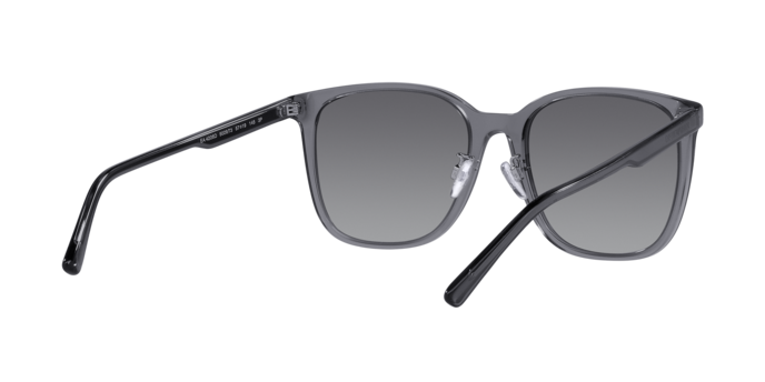 Emporio Armani Sunglasses EA4206D 5029T3