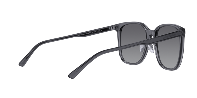 Emporio Armani Sunglasses EA4206D 5029T3