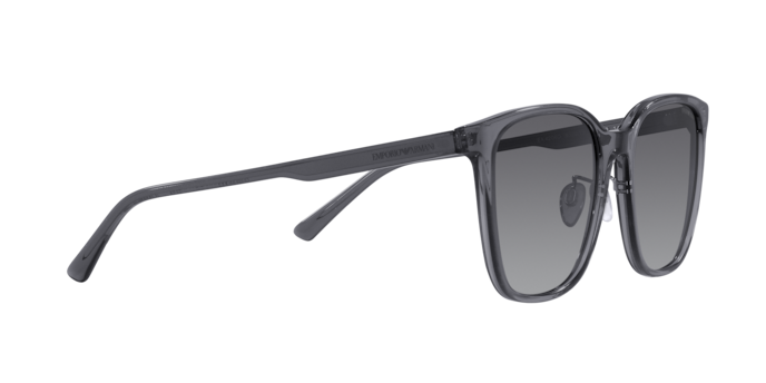 Emporio Armani Sunglasses EA4206D 5029T3