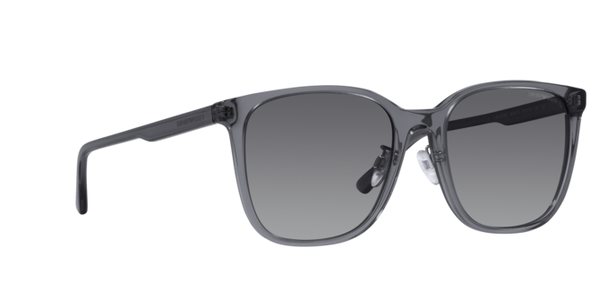 Emporio Armani Sunglasses EA4206D 5029T3