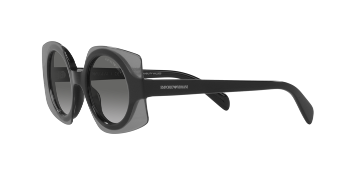 Emporio Armani Sunglasses EA4207 602911