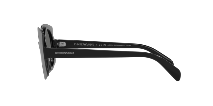 Emporio Armani Sunglasses EA4207 602911