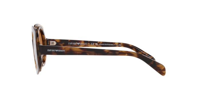 Emporio Armani Sunglasses EA4207 603073