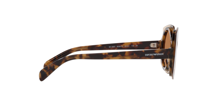 Emporio Armani Sunglasses EA4207 603073