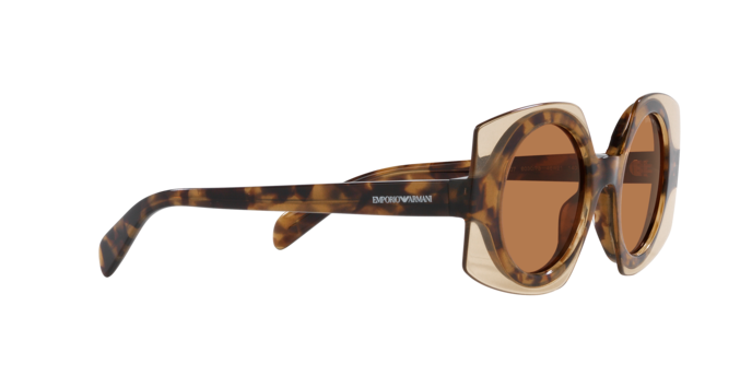 Emporio Armani Sunglasses EA4207 603073