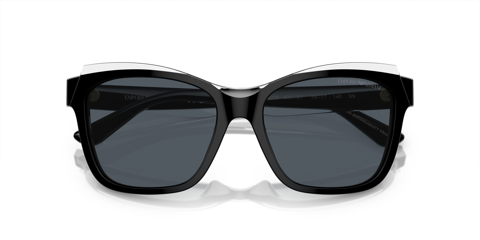 Emporio Armani Sunglasses EA4209 605187