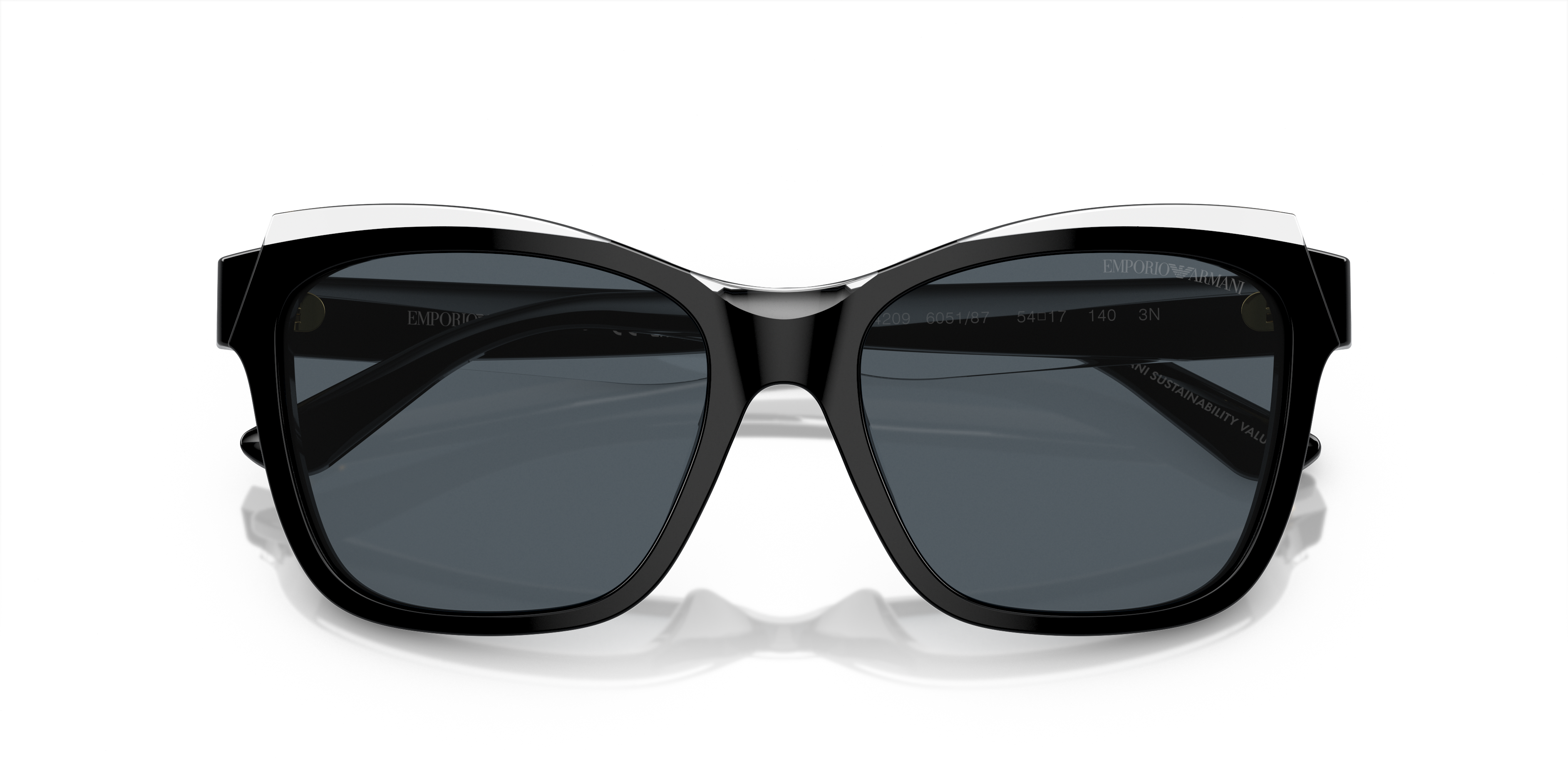 Emporio Armani Sunglasses EA4209 605187