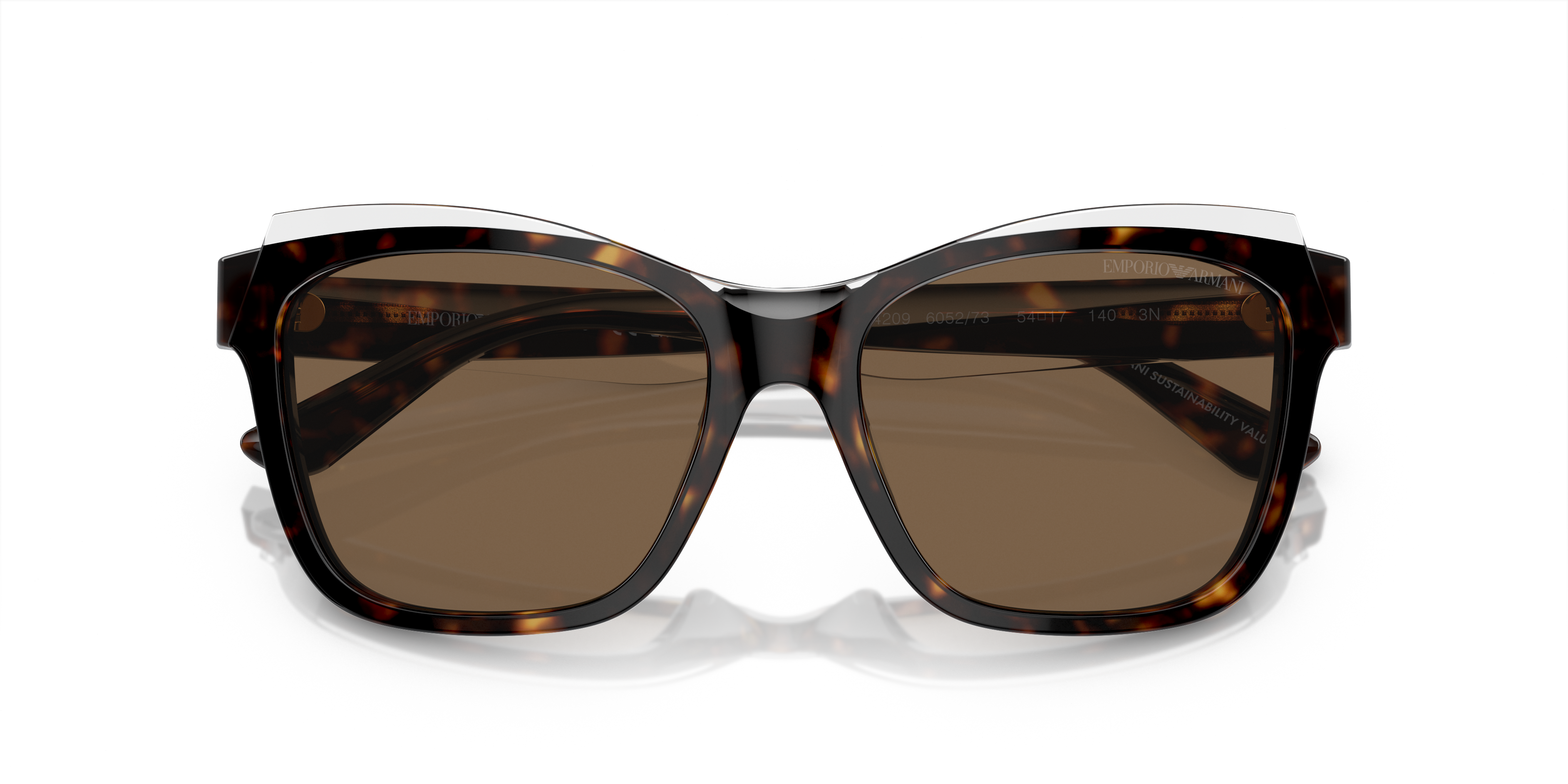 Emporio Armani Sunglasses EA4209 605273