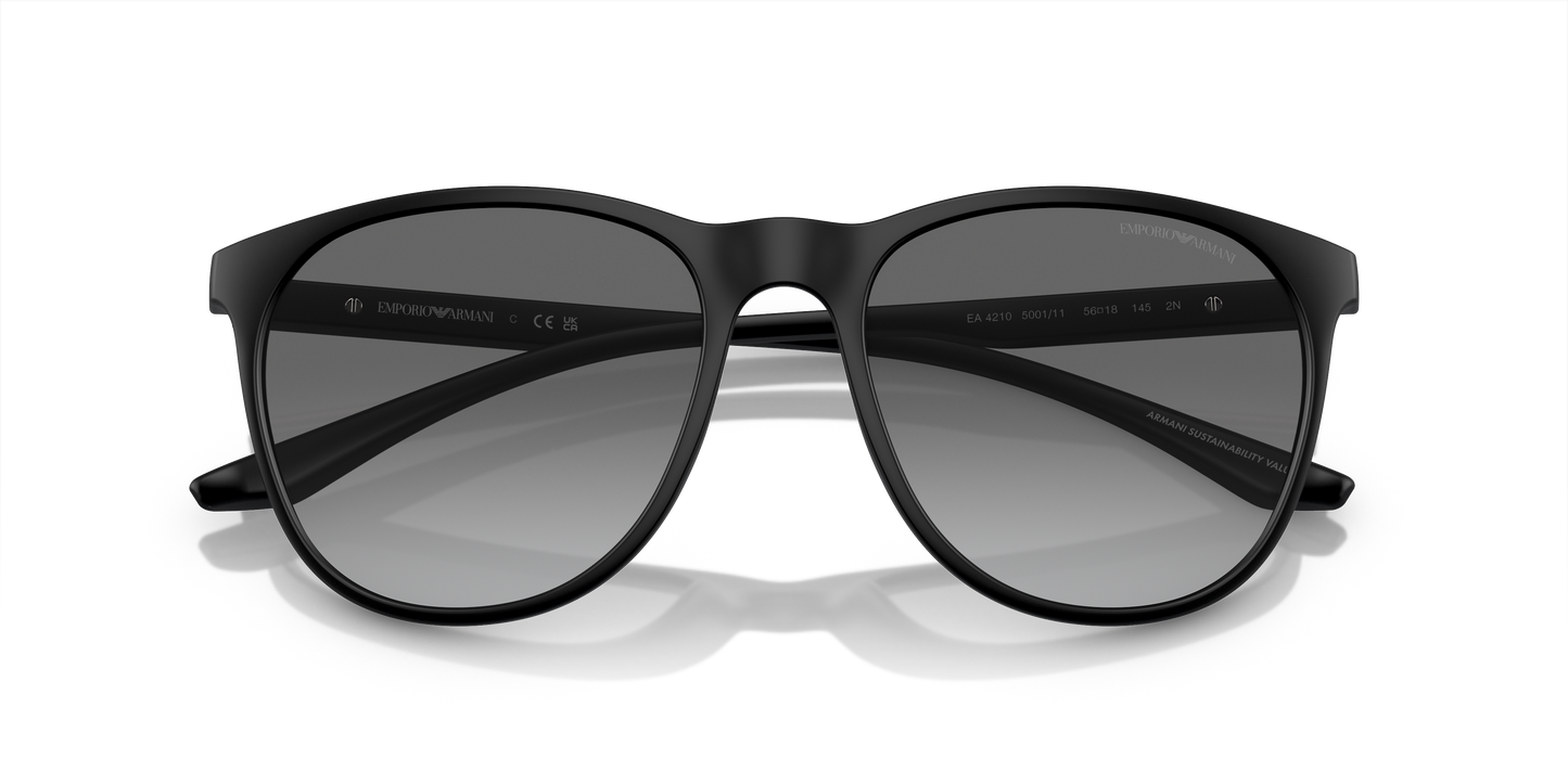 Emporio Armani Sunglasses EA4210 500111