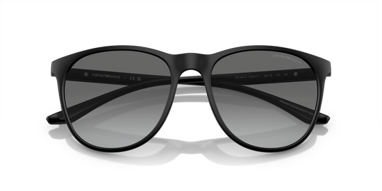 Emporio Armani Sunglasses EA4210 500111