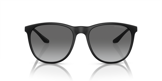 Emporio Armani Sunglasses EA4210 500111