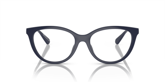 Emporio Armani Sunglasses EA4213U 51451W