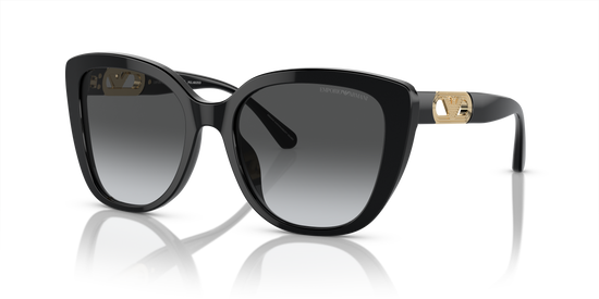 Emporio Armani Sunglasses EA4214U 50178G
