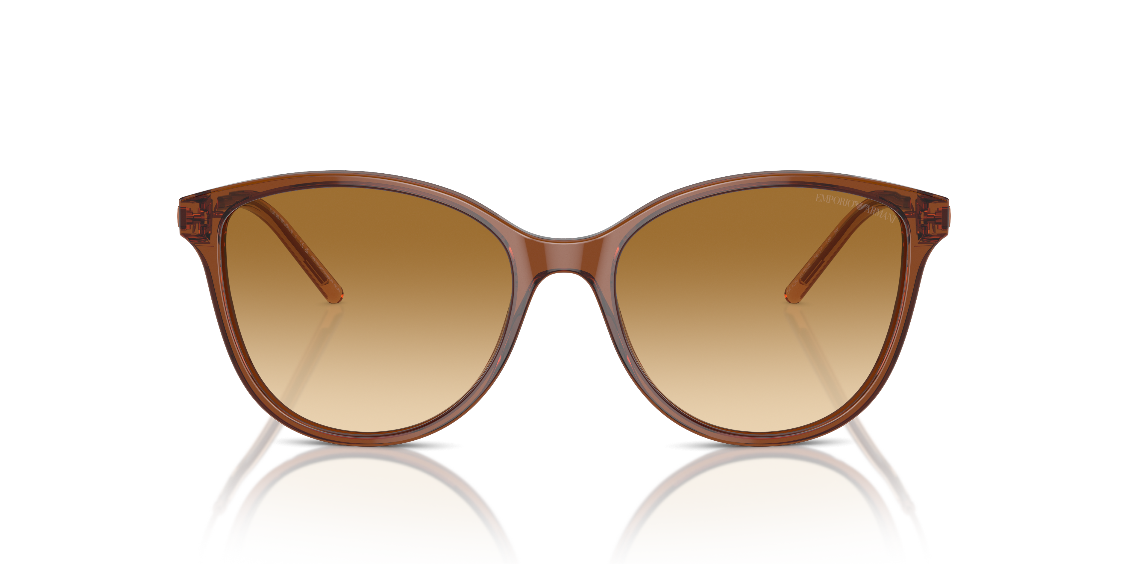 Emporio Armani Sunglasses EA4220 61103B