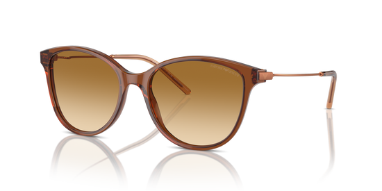 Emporio Armani Sunglasses EA4220 61103B
