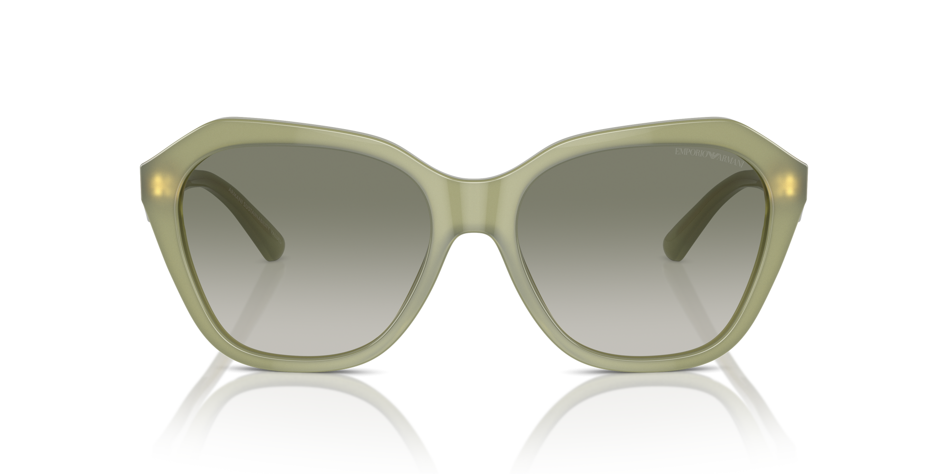 Emporio Armani Sunglasses EA4221 61168E