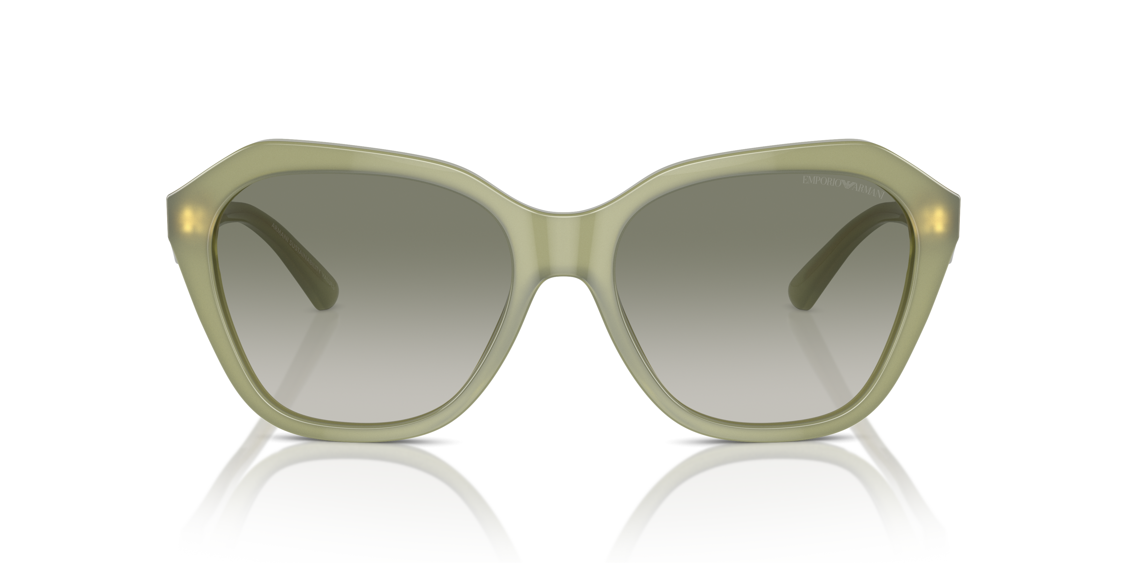 Emporio Armani Sunglasses EA4221 61168E