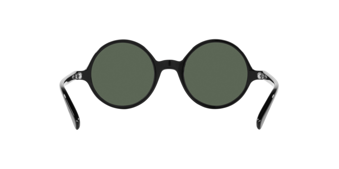 Emporio Armani Sunglasses EA 501M 501771