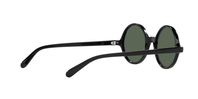 Emporio Armani Sunglasses EA 501M 501771