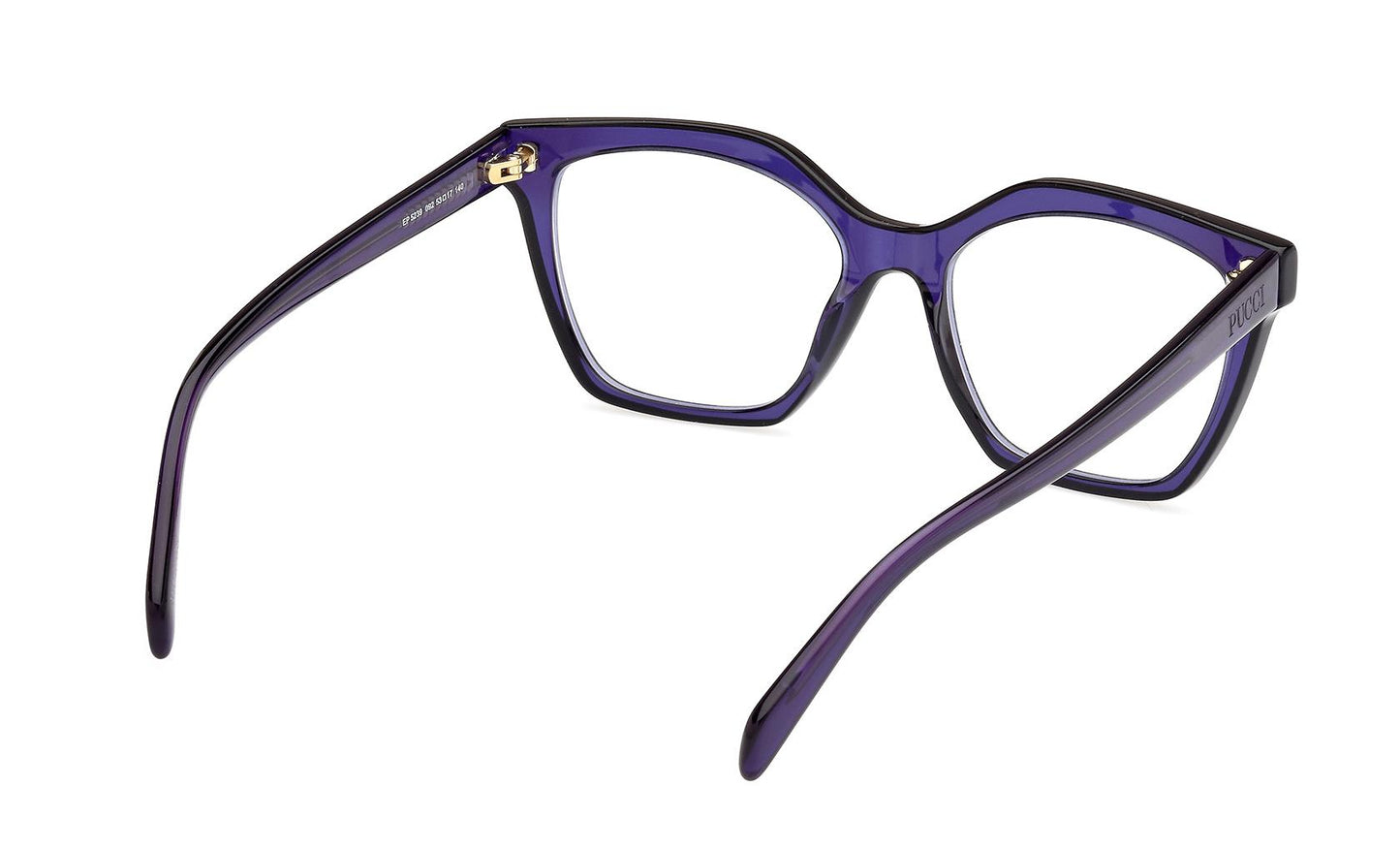 Emilio Pucci Eyeglasses EP5239 092