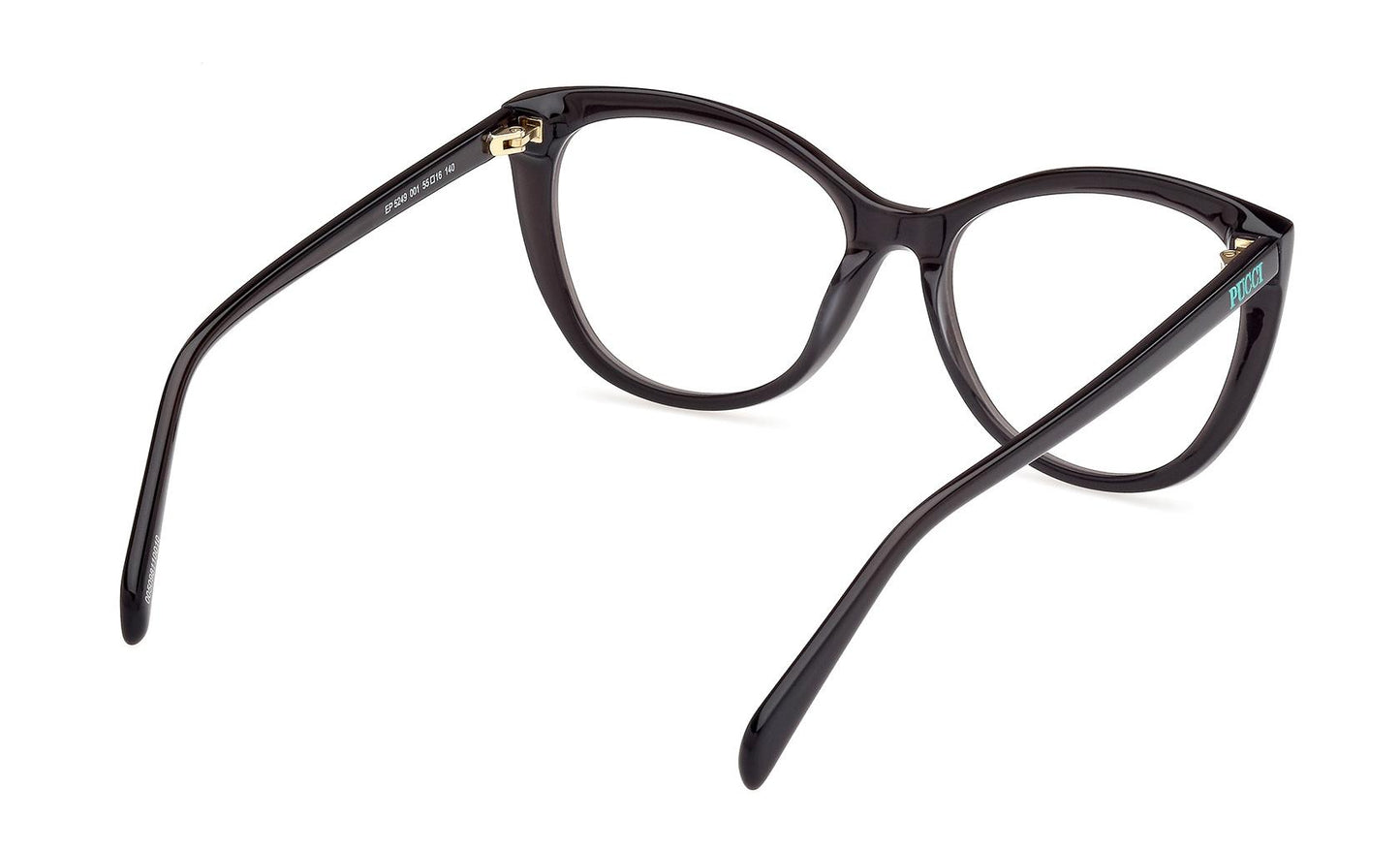 Emilio Pucci Eyeglasses EP5249 001