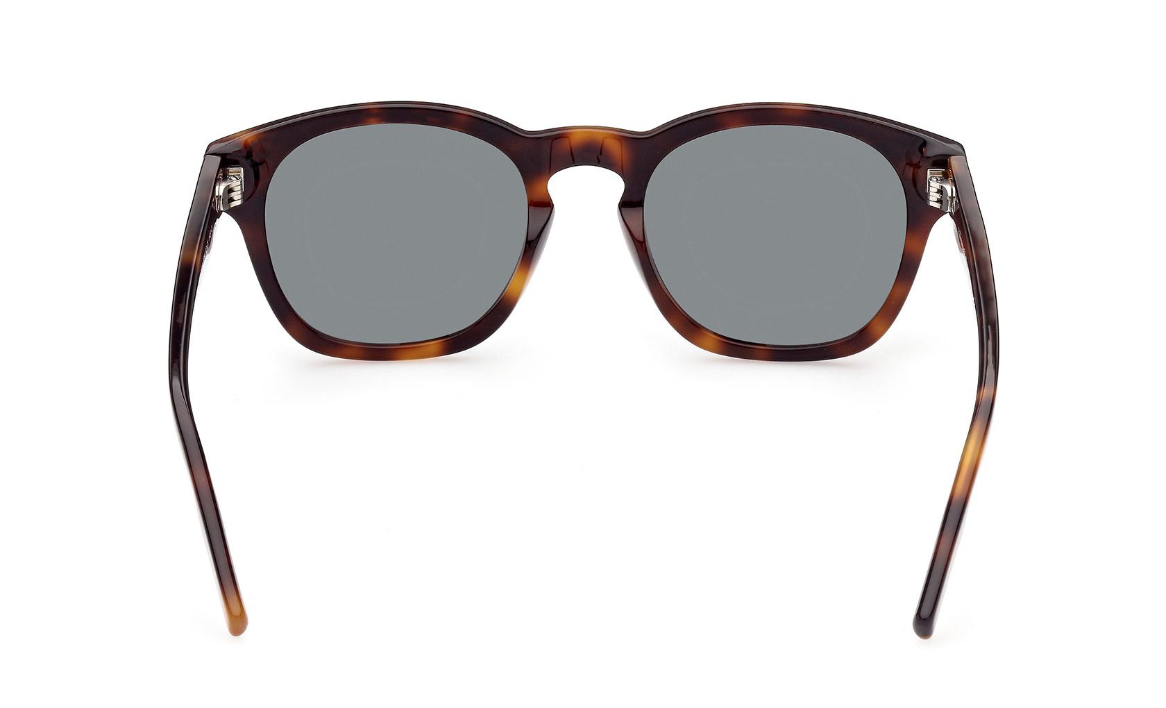 Zegna Sunglasses EZ0195 52N