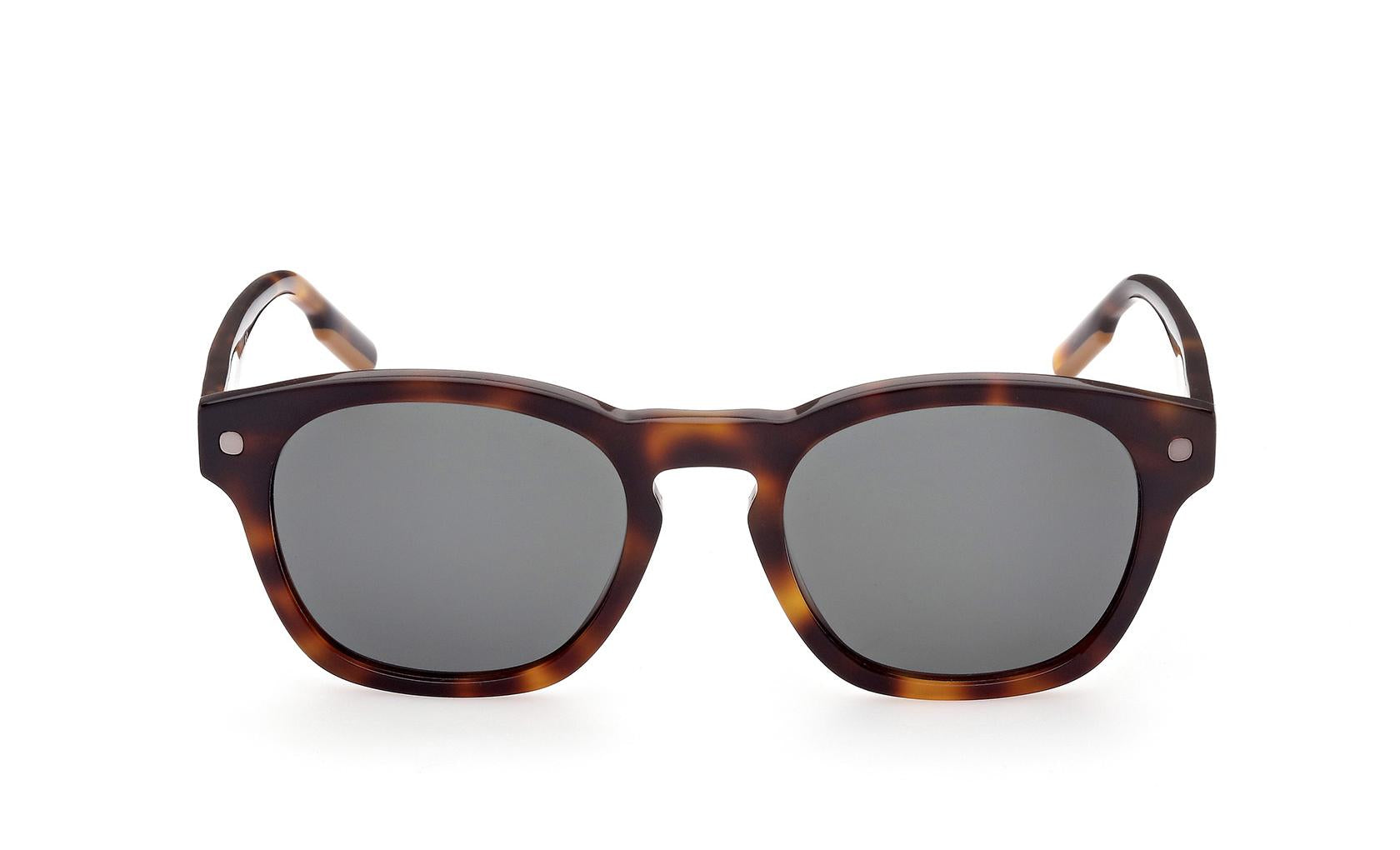 Zegna Sunglasses EZ0195 52N