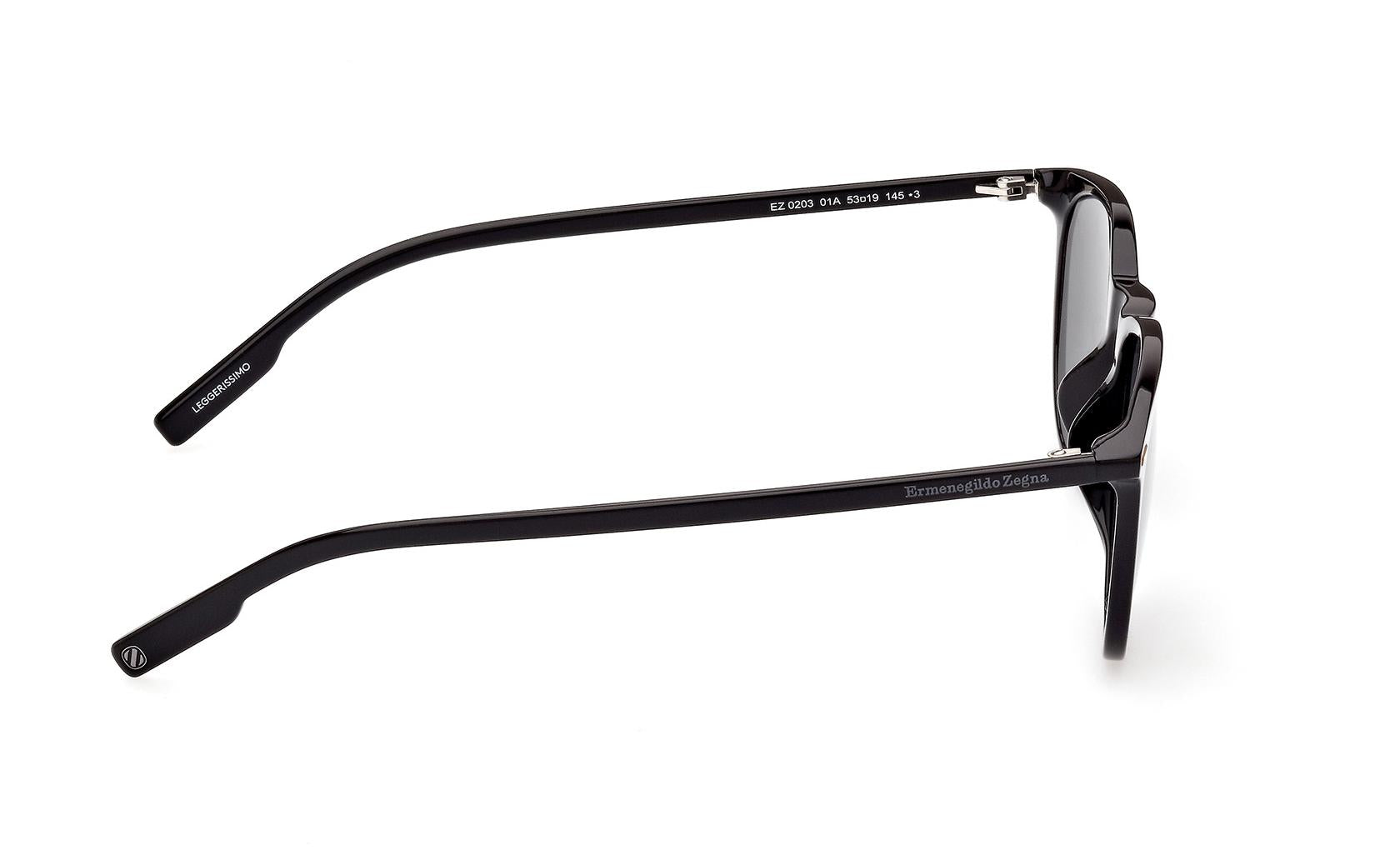 Zegna Sunglasses EZ0203 01A