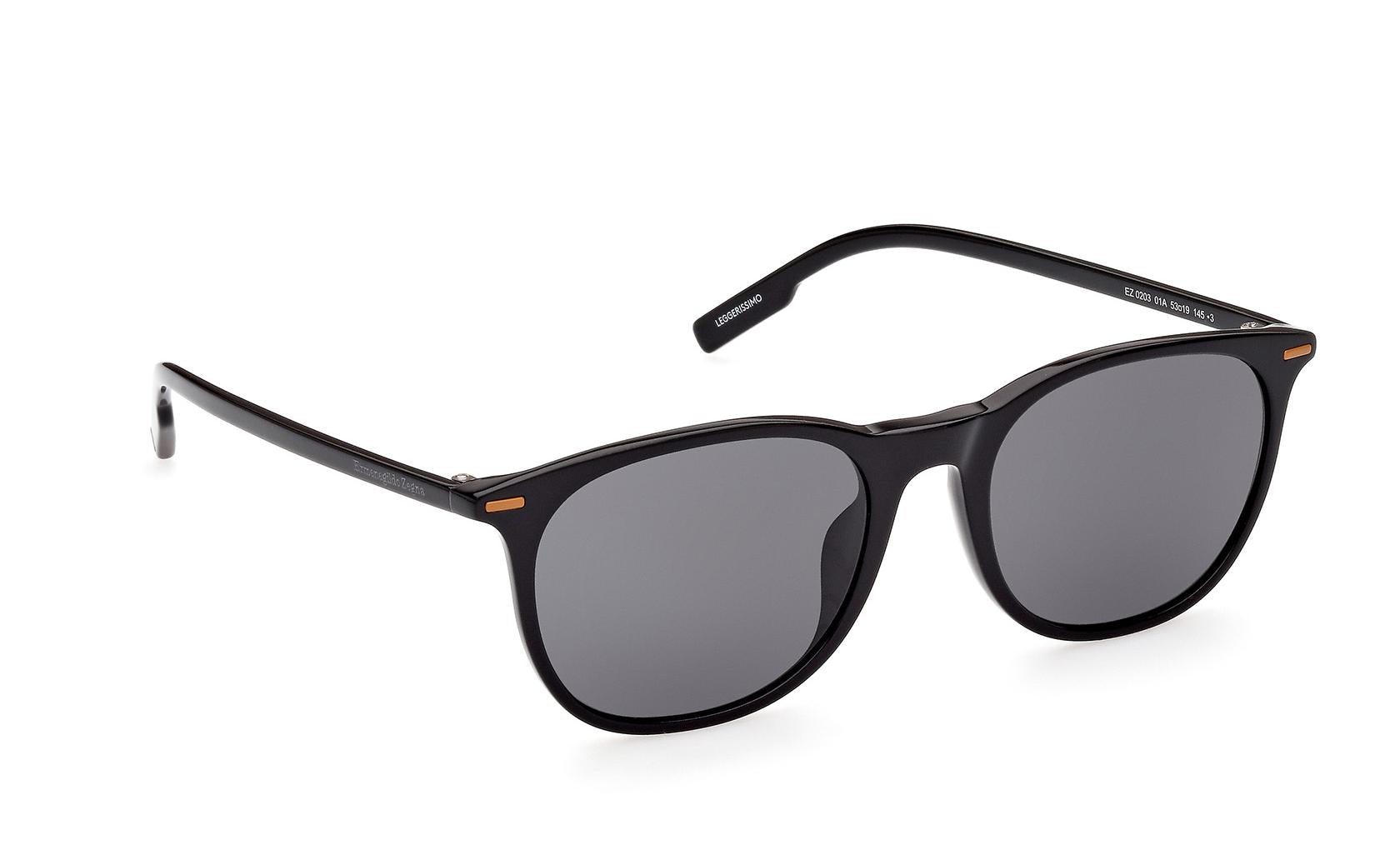 Zegna Sunglasses EZ0203 01A