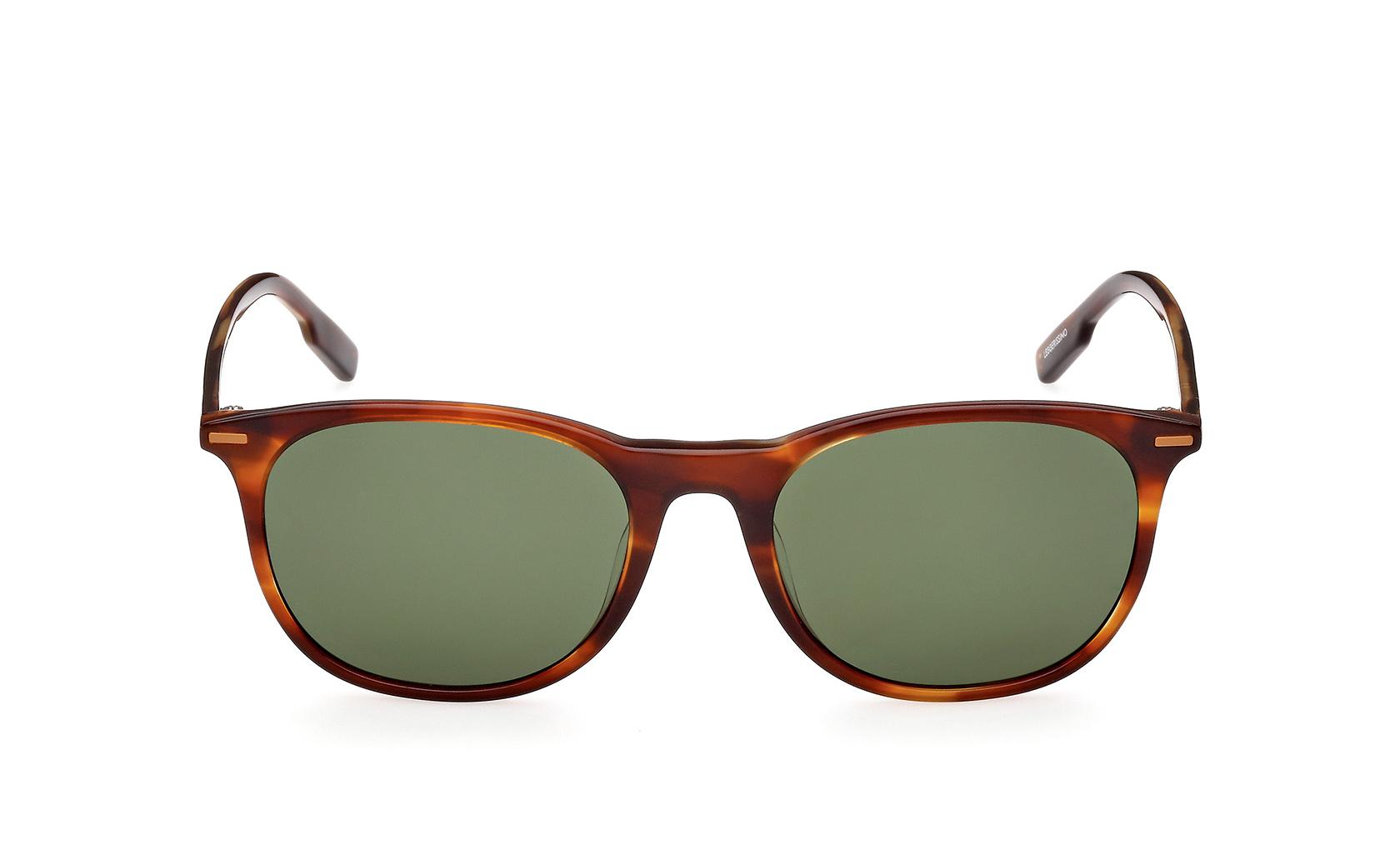 Zegna Sunglasses EZ0203 52N
