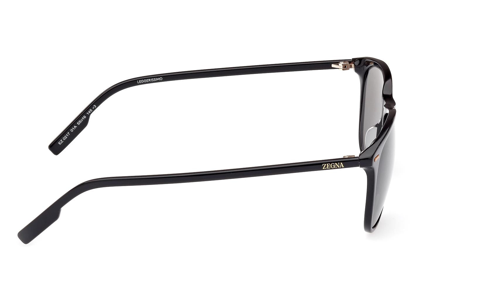 Zegna Sunglasses EZ0217 01A