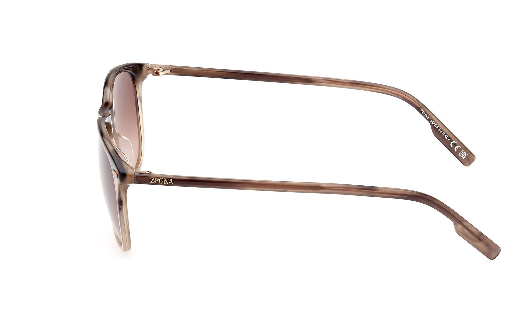 Zegna Sunglasses EZ0217 48F