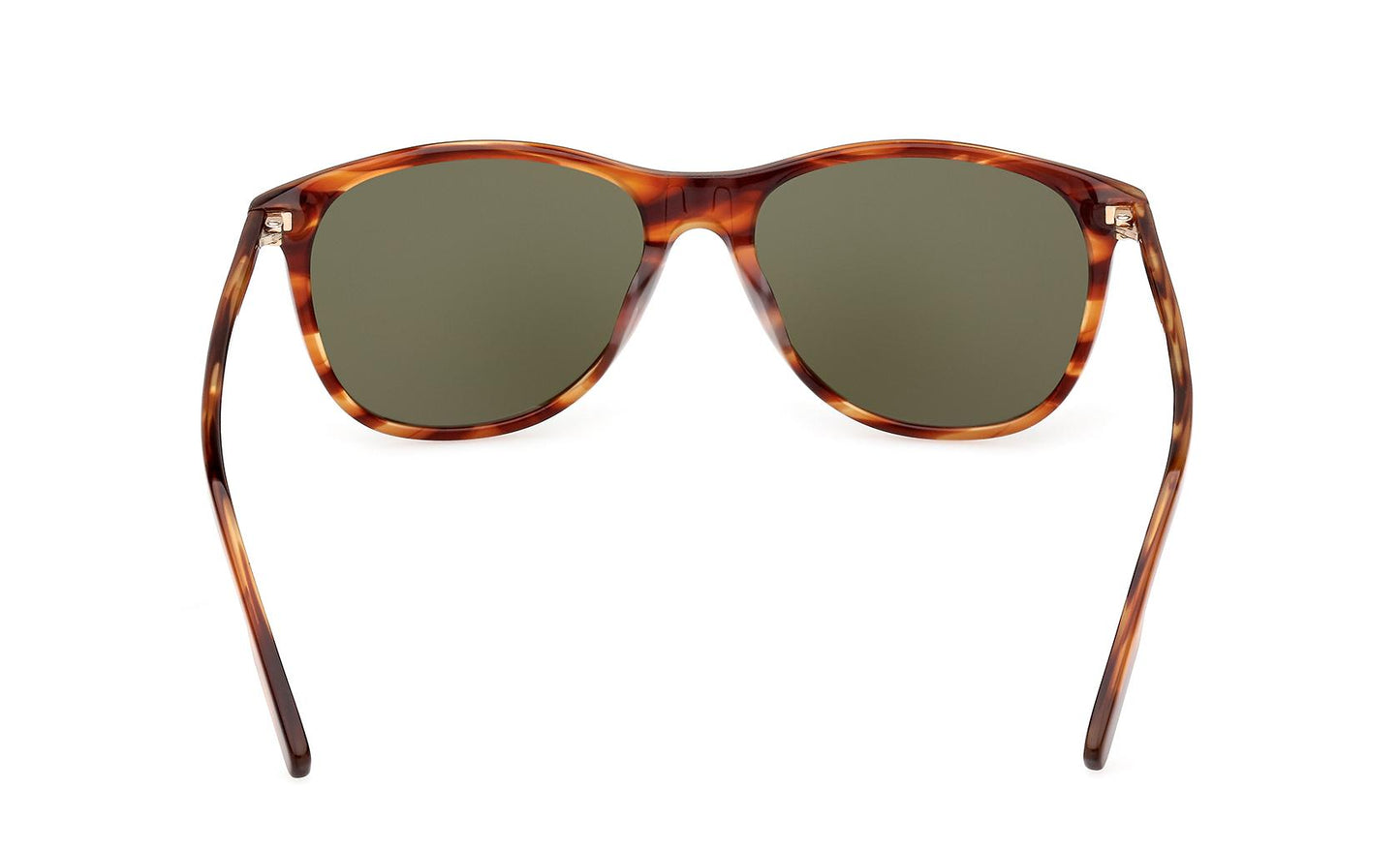 Zegna Sunglasses EZ0217 56N