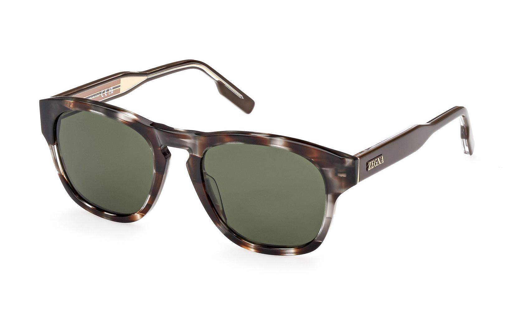 Zegna Sunglasses EZ0221 50N