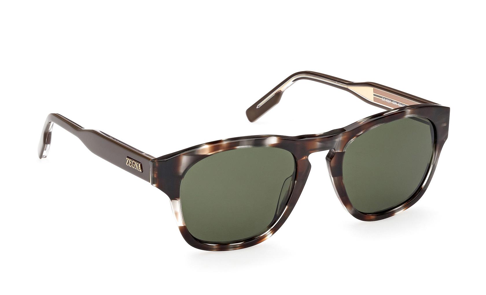 Zegna Sunglasses EZ0221 50N