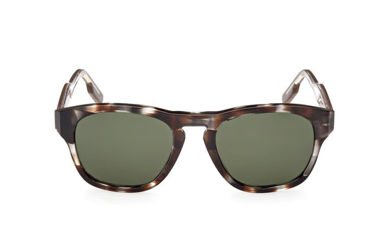 Zegna Sunglasses EZ0221 50N