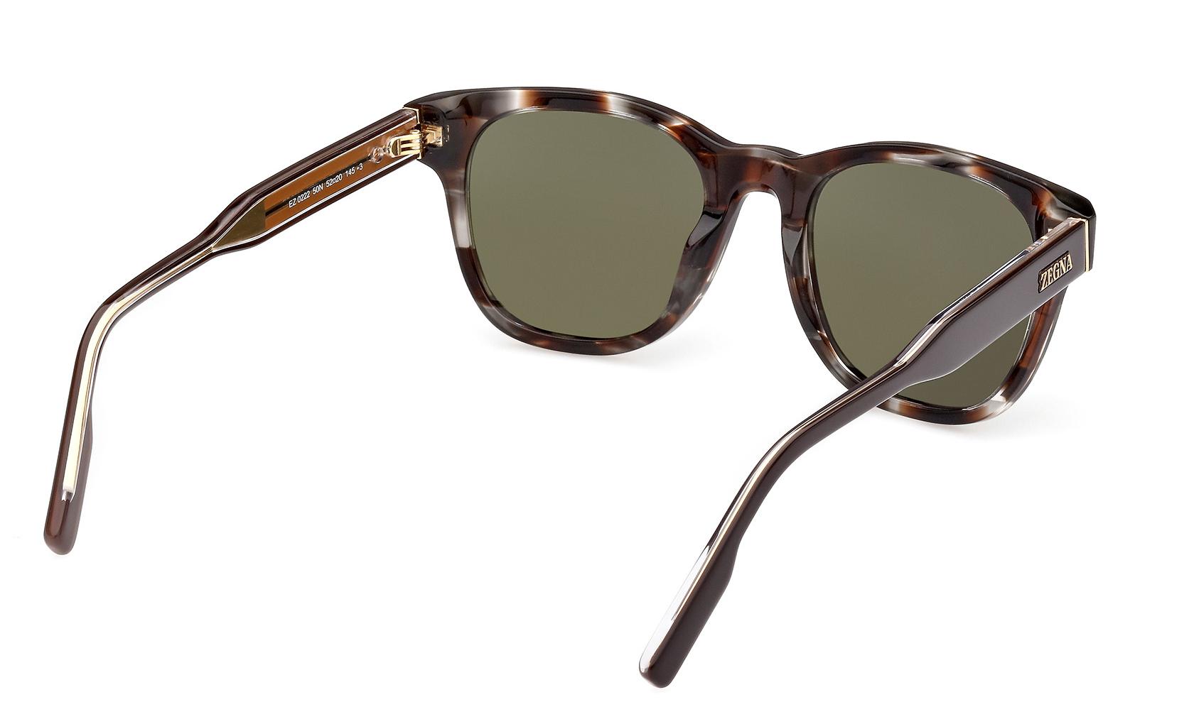 Zegna Sunglasses EZ0222 50N