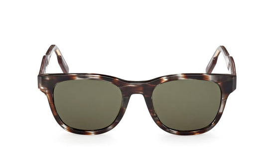 Zegna Sunglasses EZ0222 50N