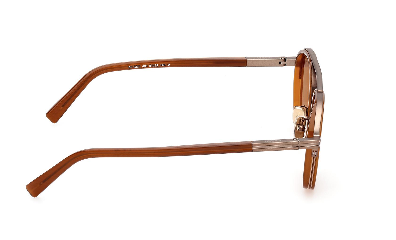 Zegna Sunglasses EZ0231 48J