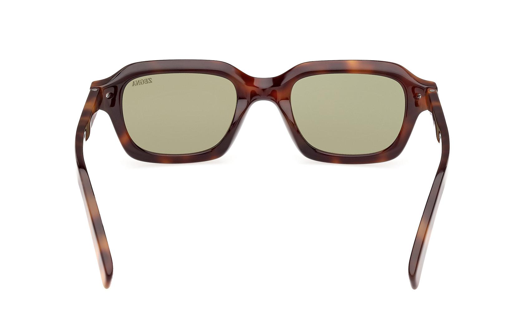 Zegna Sunglasses EZ0239 52N