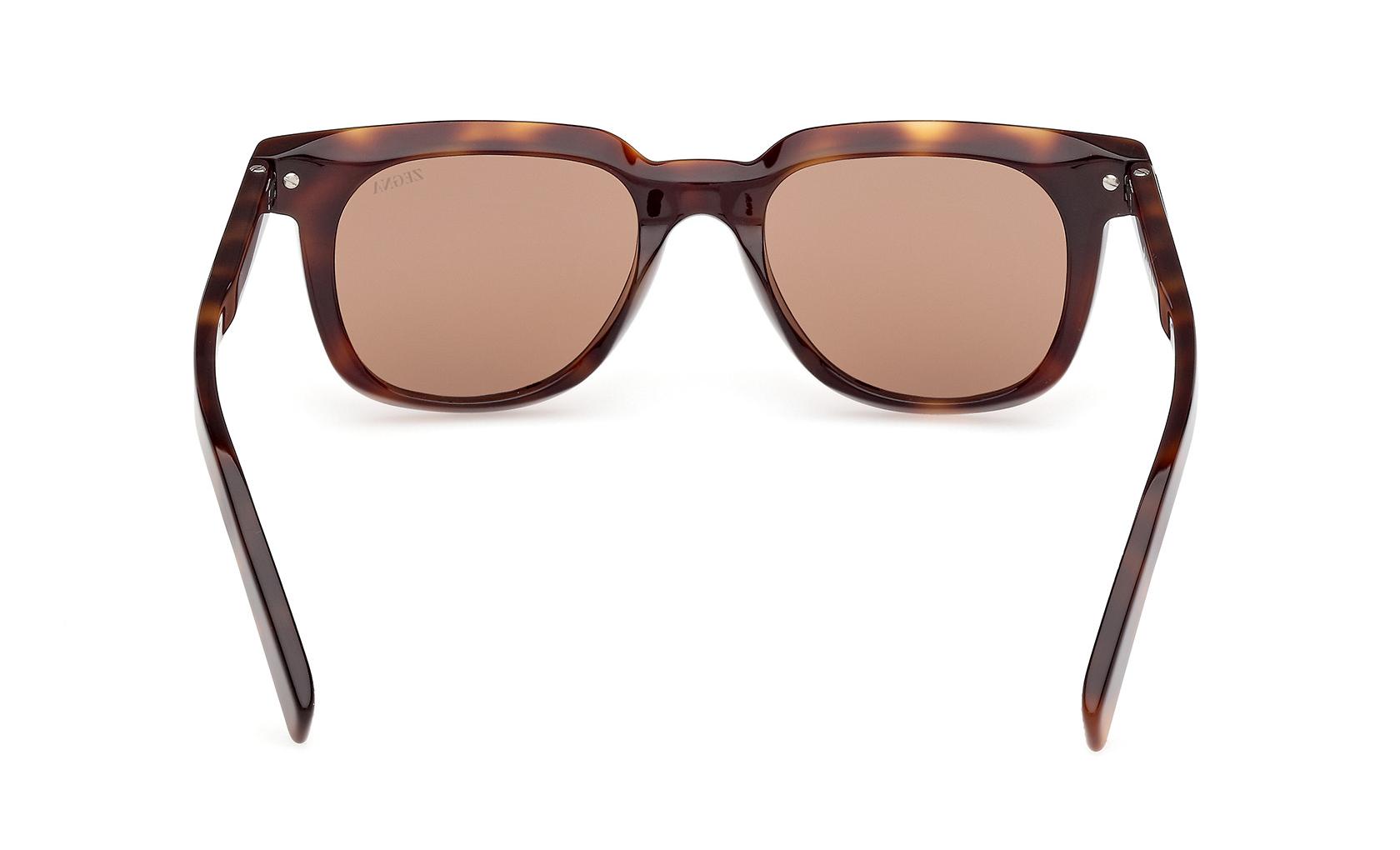 Zegna Sunglasses EZ0248 52E