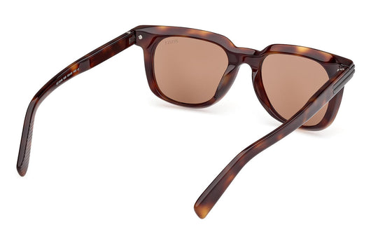 Zegna Sunglasses EZ0248 52E