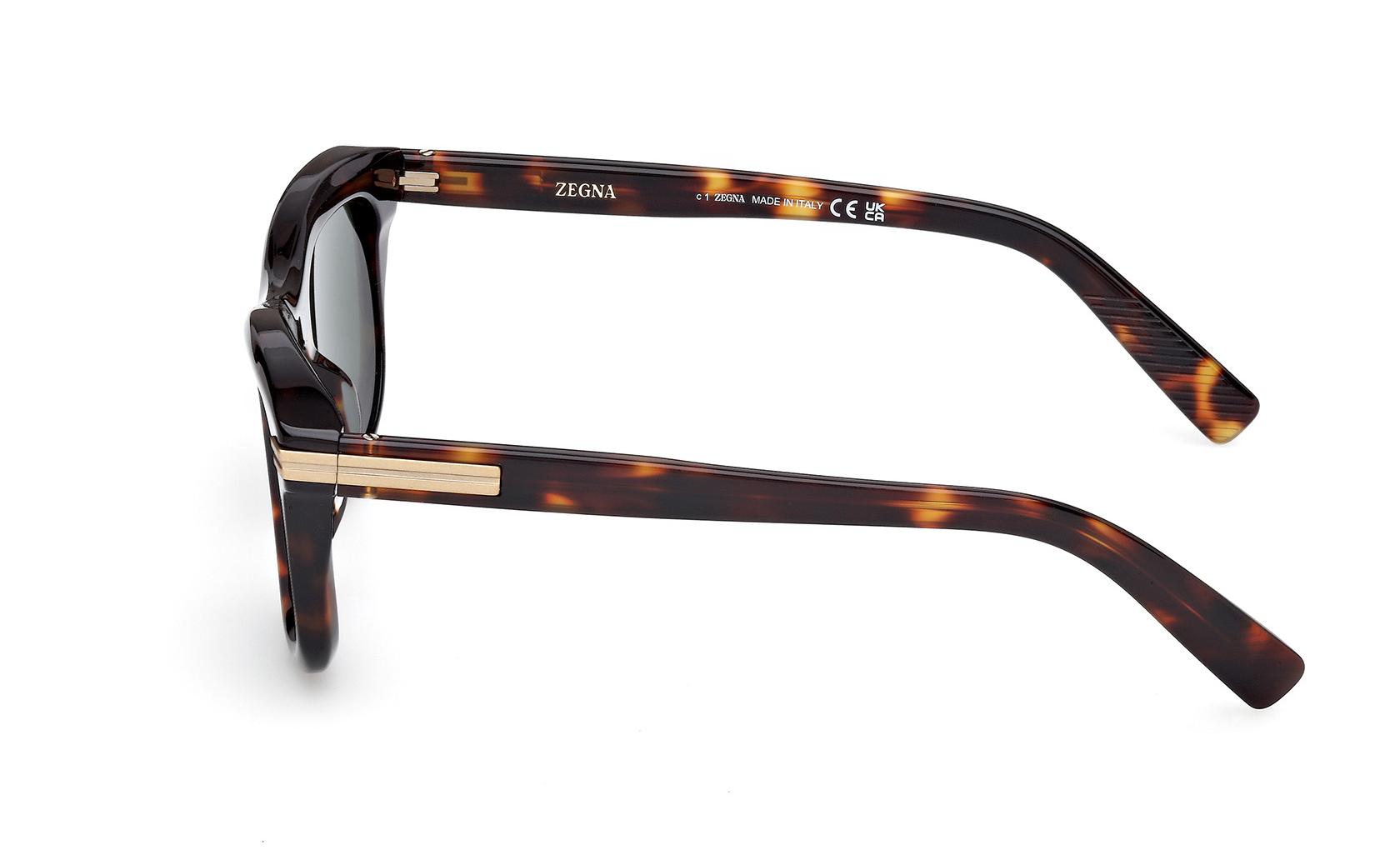 Zegna Sunglasses EZ0269 52N