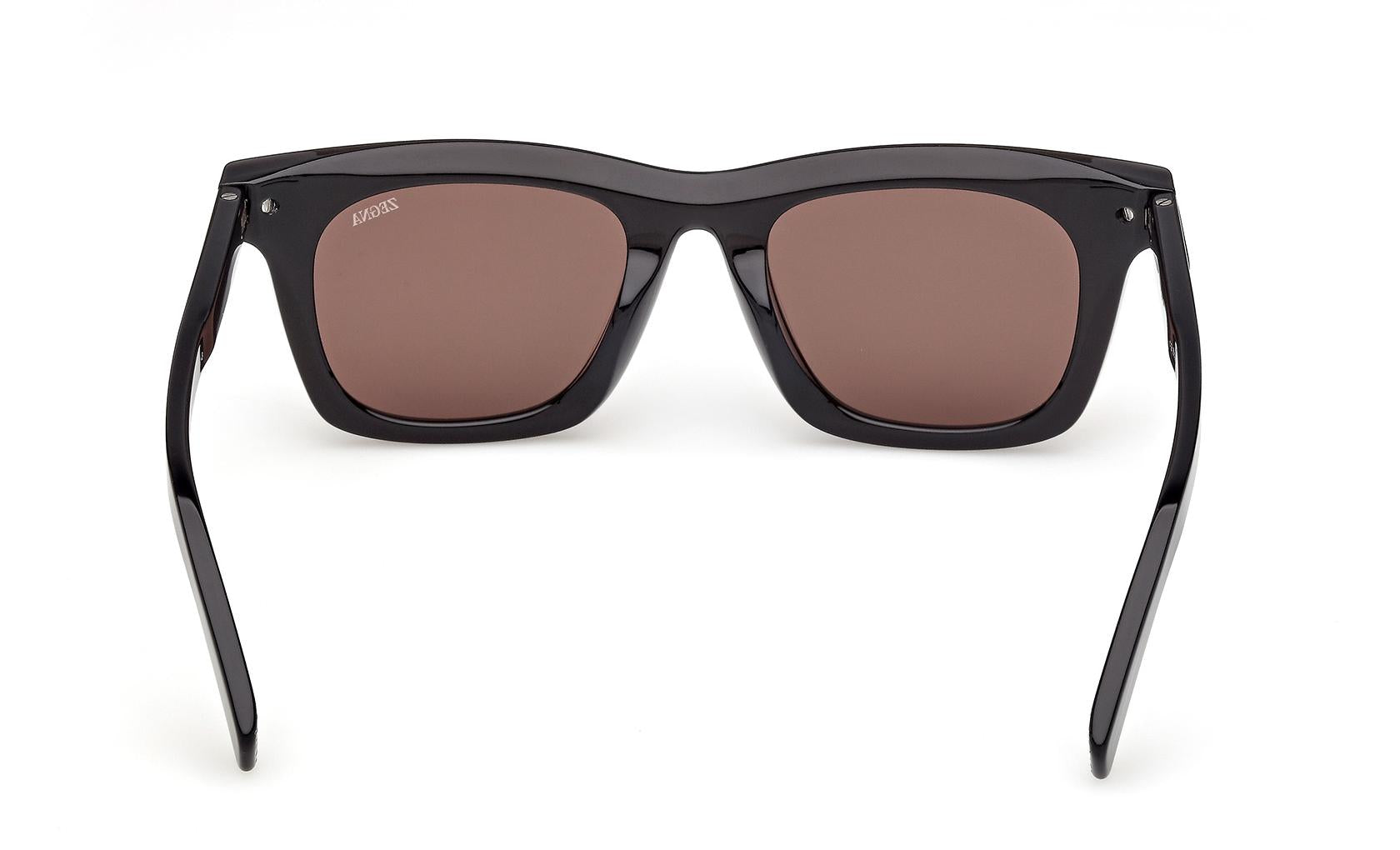 Zegna Sunglasses EZ0270 20E