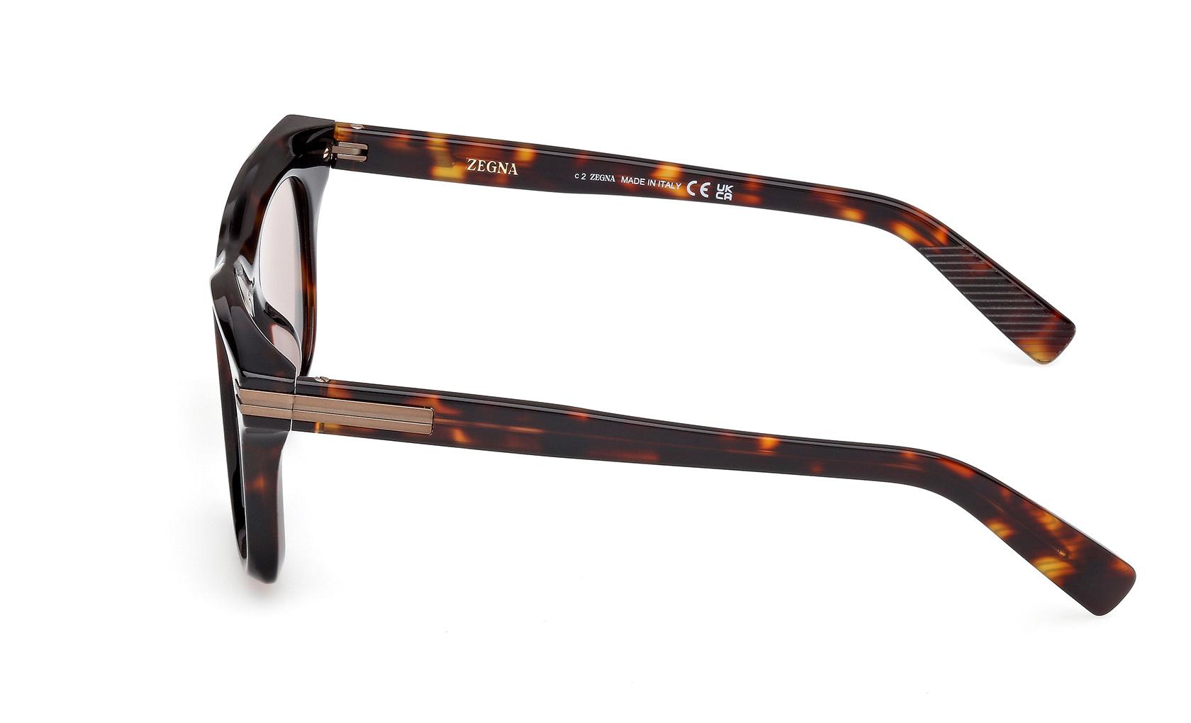 Zegna Sunglasses EZ0270 55E