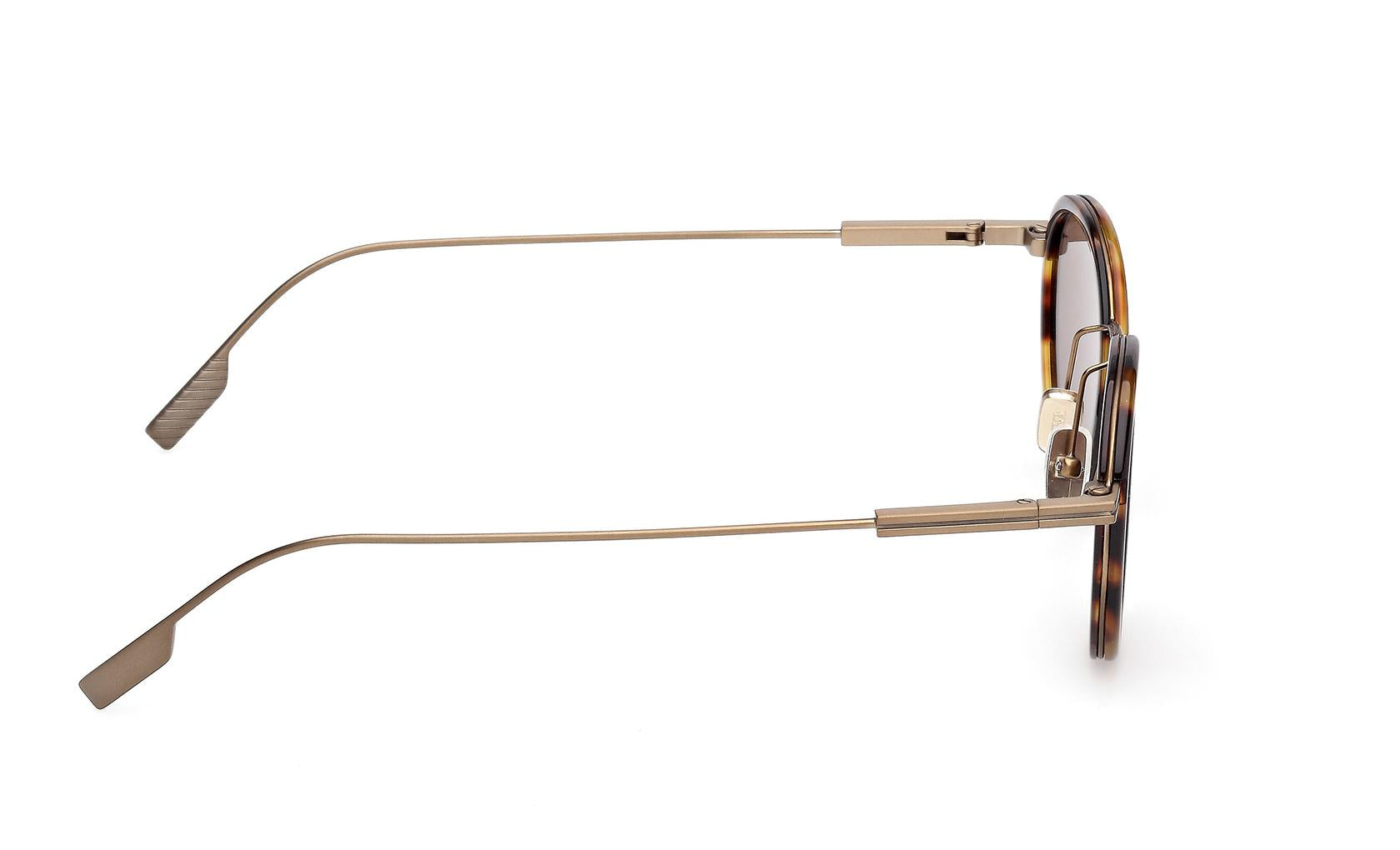 Zegna Sunglasses EZ0276 52E