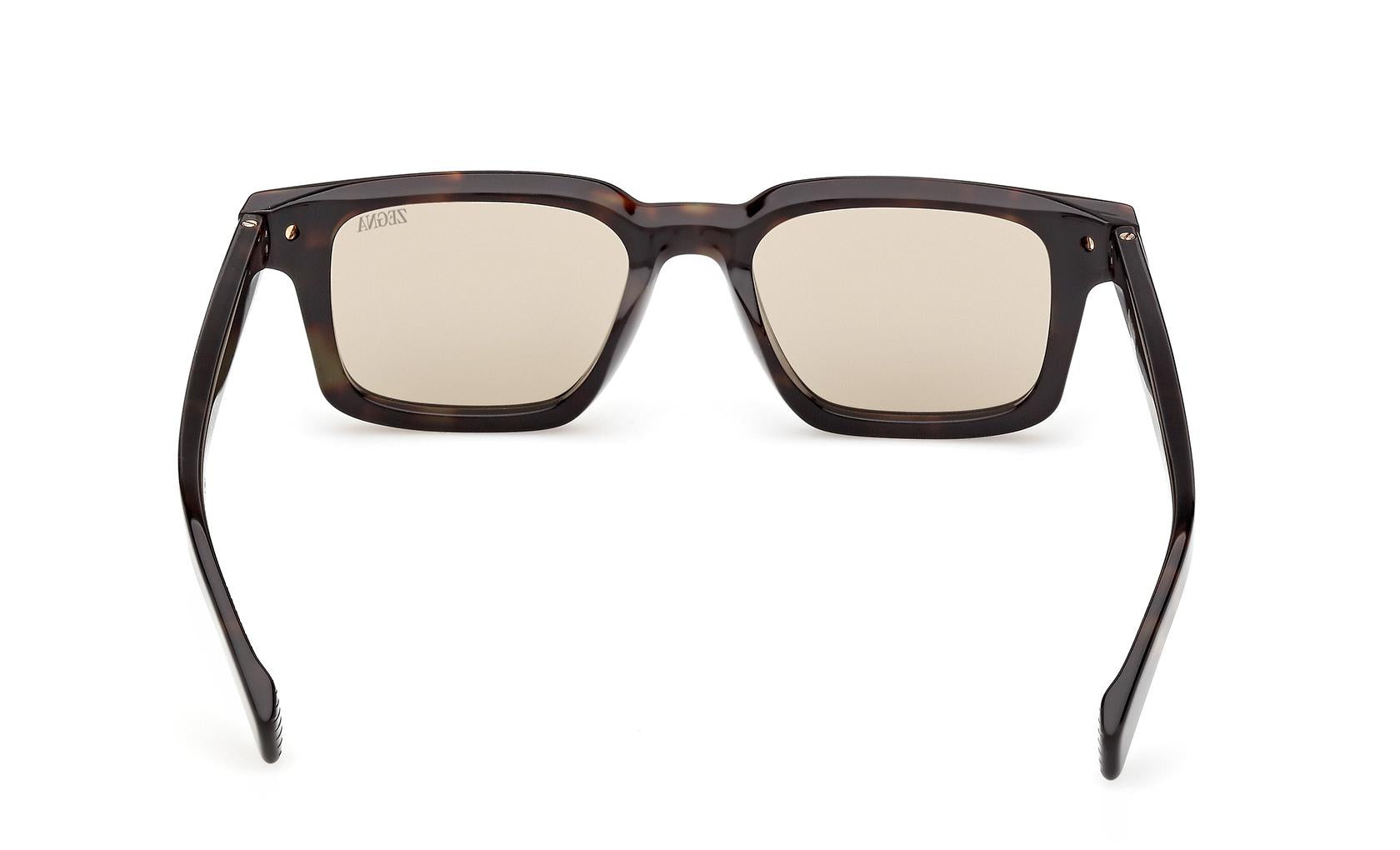 Zegna Sunglasses EZ0280 52E