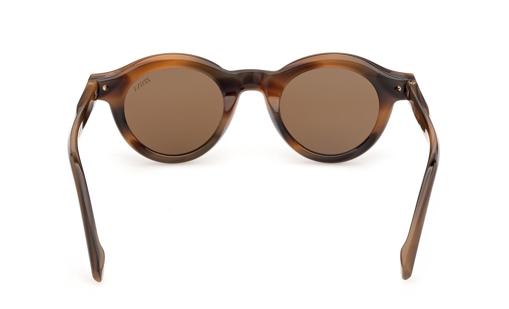 Zegna Sunglasses EZ0313 50E