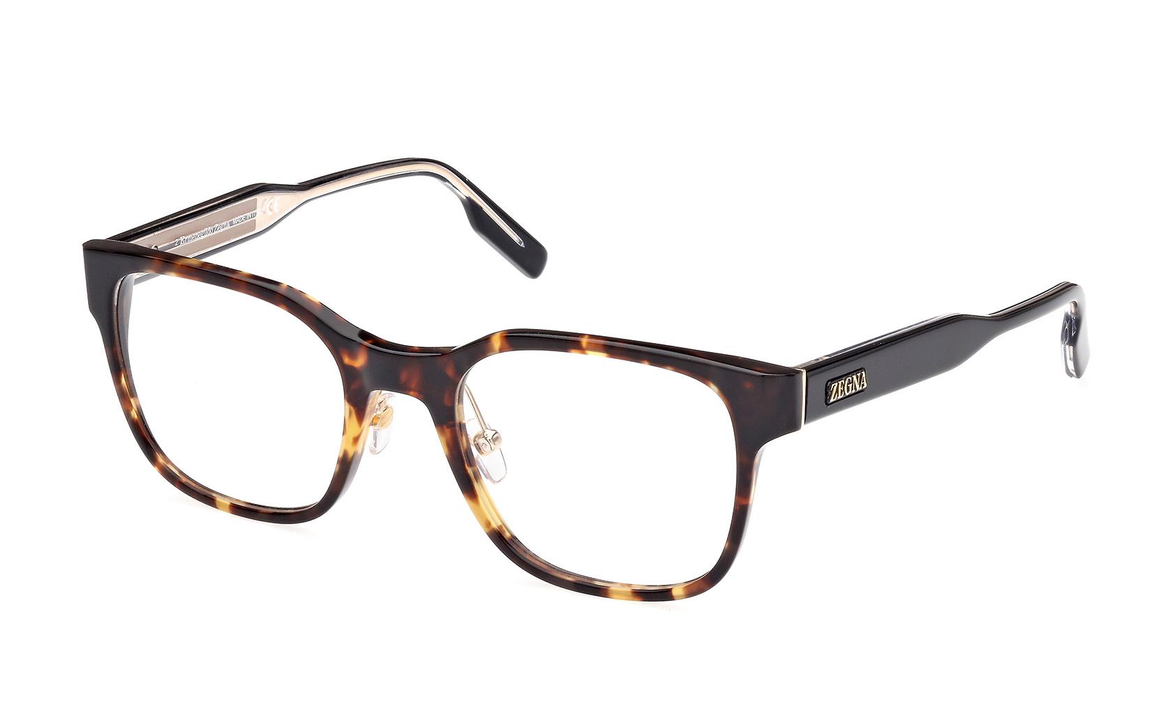Zegna Eyeglasses EZ5253 054