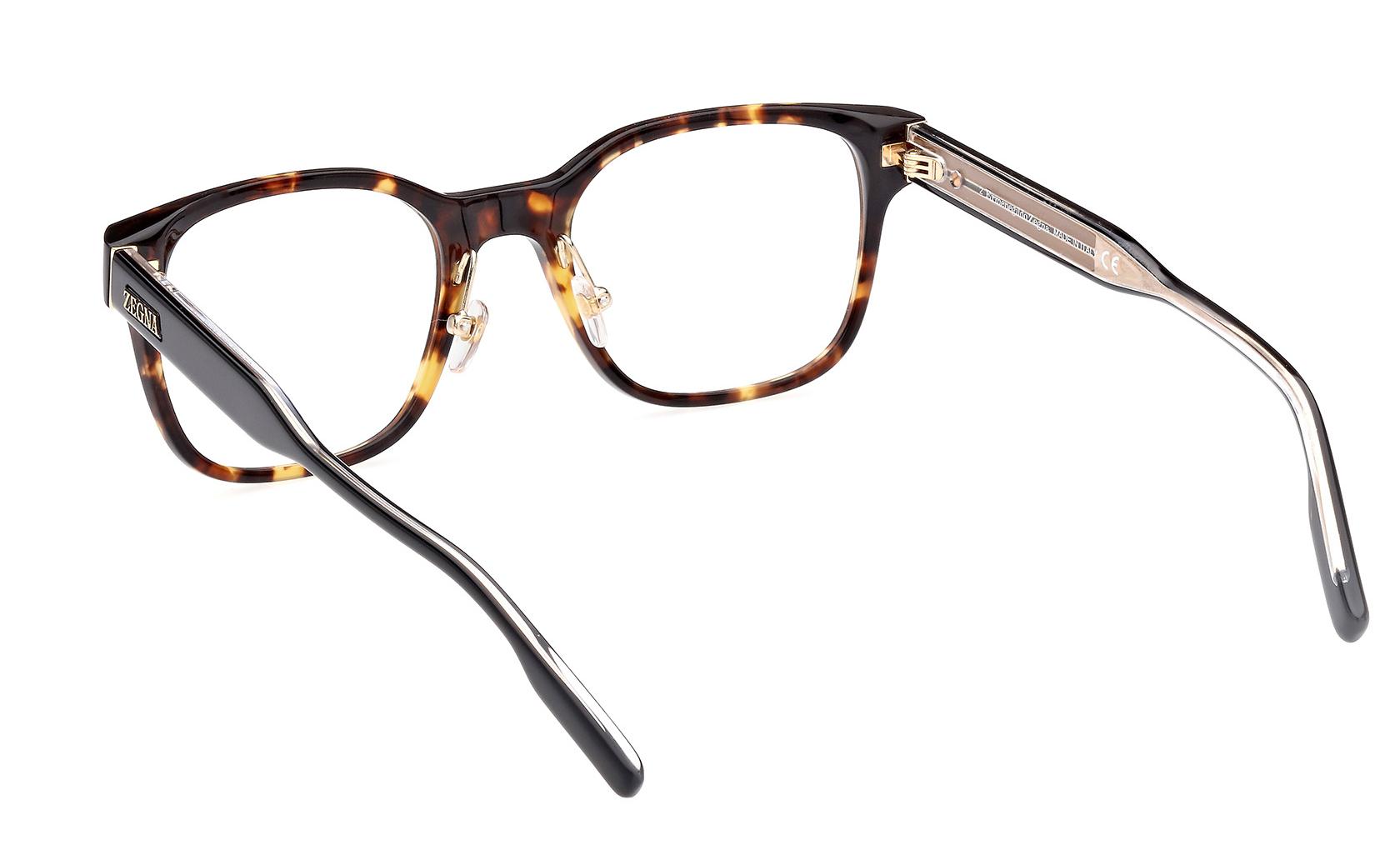 Zegna Eyeglasses EZ5253 054